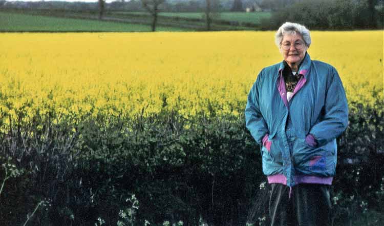 mustard fields